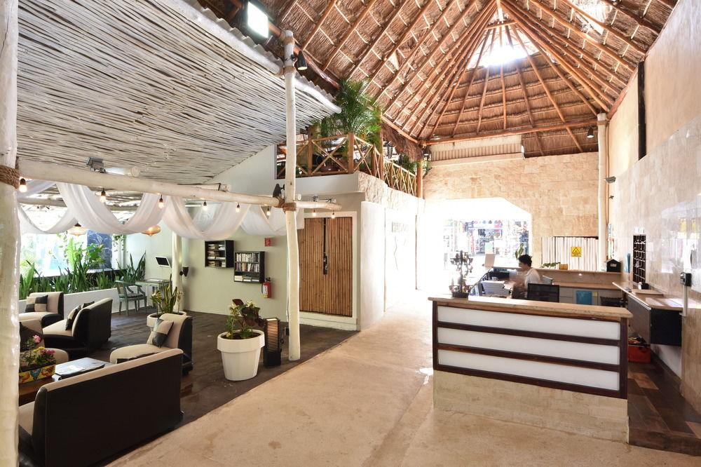 Hotel Beach Energy 5Th Av Πλάγια Ντελ Κάρμεν Εξωτερικό φωτογραφία