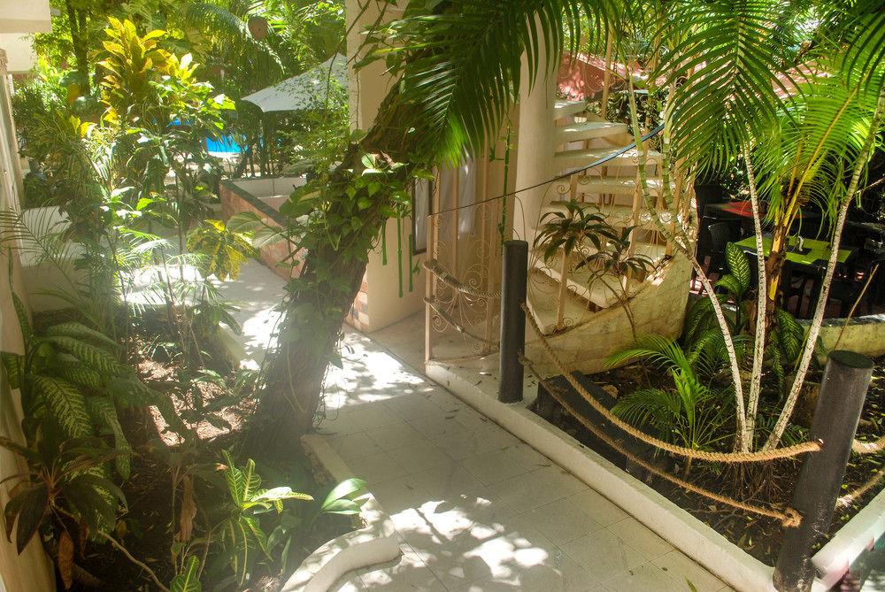 Hotel Beach Energy 5Th Av Πλάγια Ντελ Κάρμεν Εξωτερικό φωτογραφία